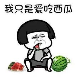 娱乐圈吃瓜句子