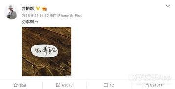 娱乐圈吃瓜感慨文案怎么写