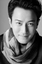 关于刘恺威的资料,从影视新星到实力派演员的蜕变之路